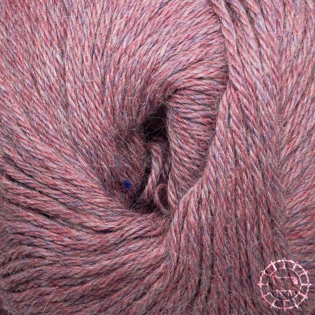 Alpaka Regular • Alpaca, Apu Kuntur