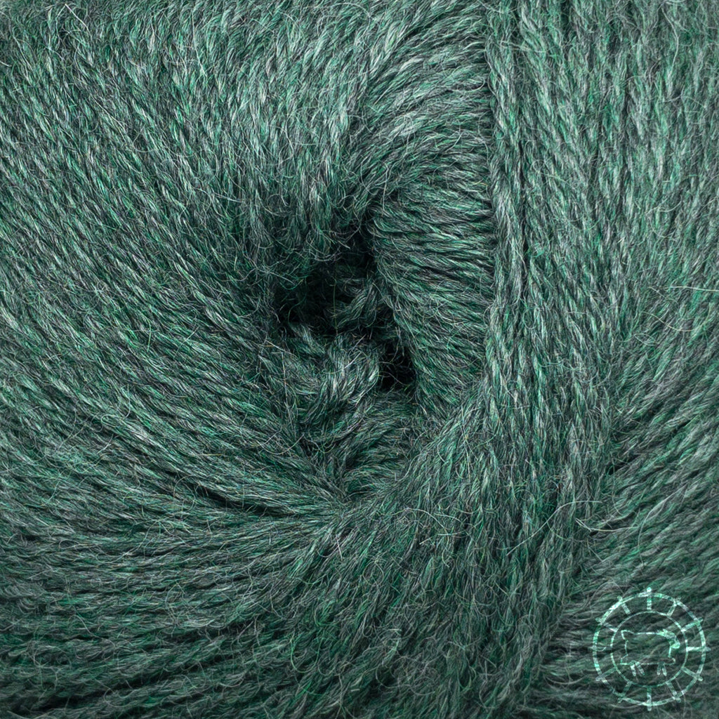 Alpaka Regular • Alpaca, Apu Kuntur