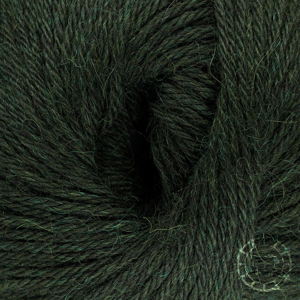 Alpaka Regular • Alpaca, Apu Kuntur