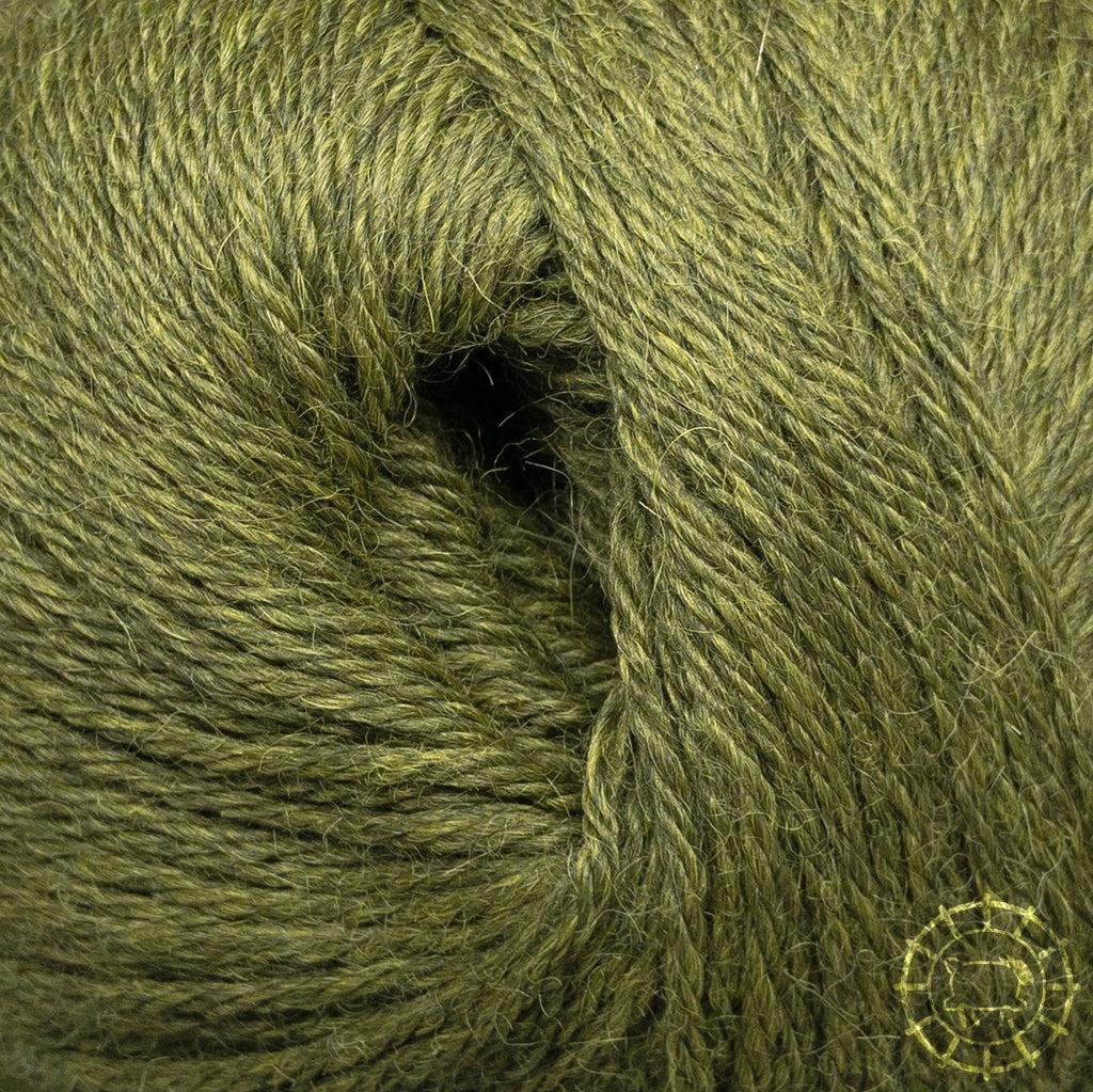 Alpaka Regular • Alpaca, Apu Kuntur