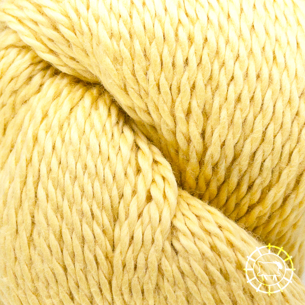 Sami • Coton Pima biologique, Amano