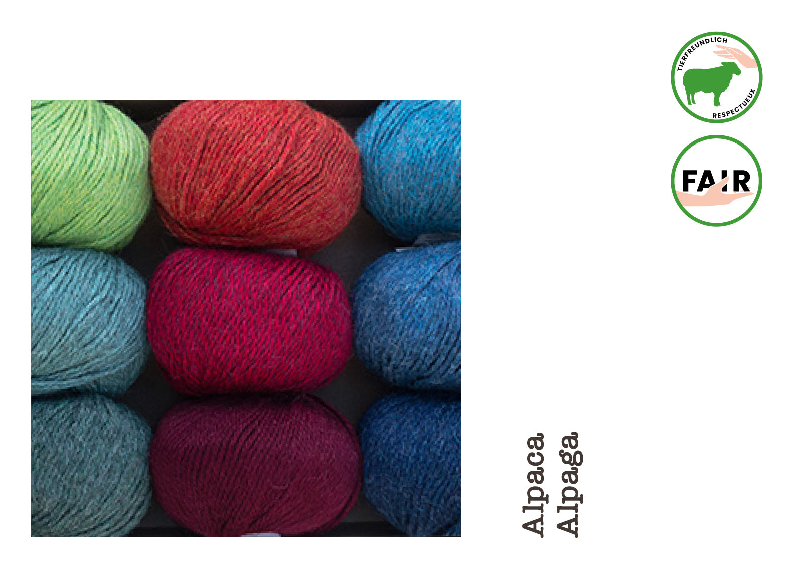 Alpaka Regular • Alpaca, Apu Kuntur