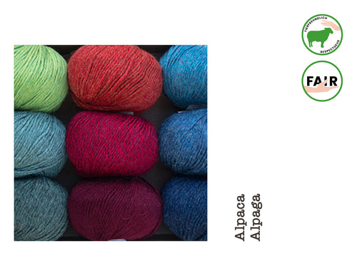 Alpaka Regular • Alpaca, Apu Kuntur