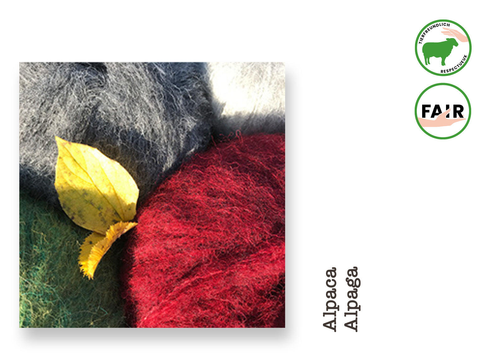 Baby-Alpaka Teddy • Alpaca, Woolpack Yarn Collection