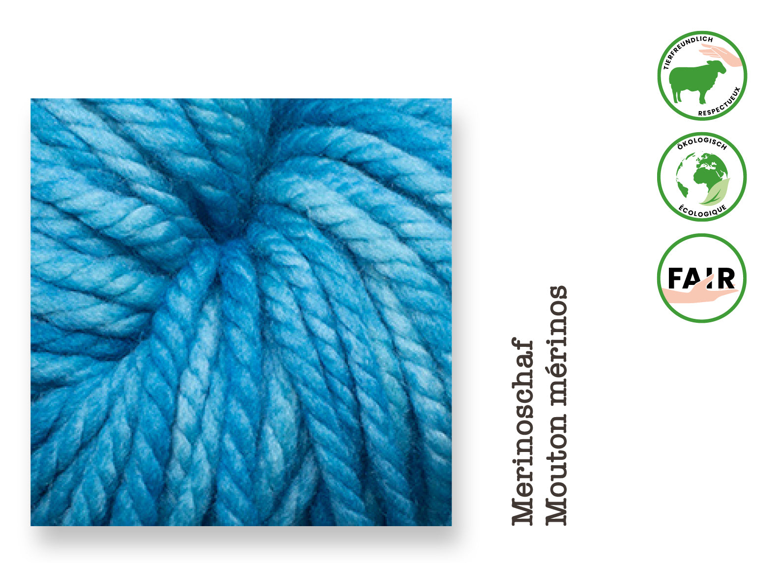 Chunky • Schurwolle Merino mulesingfrei, Malabrigo Yarn