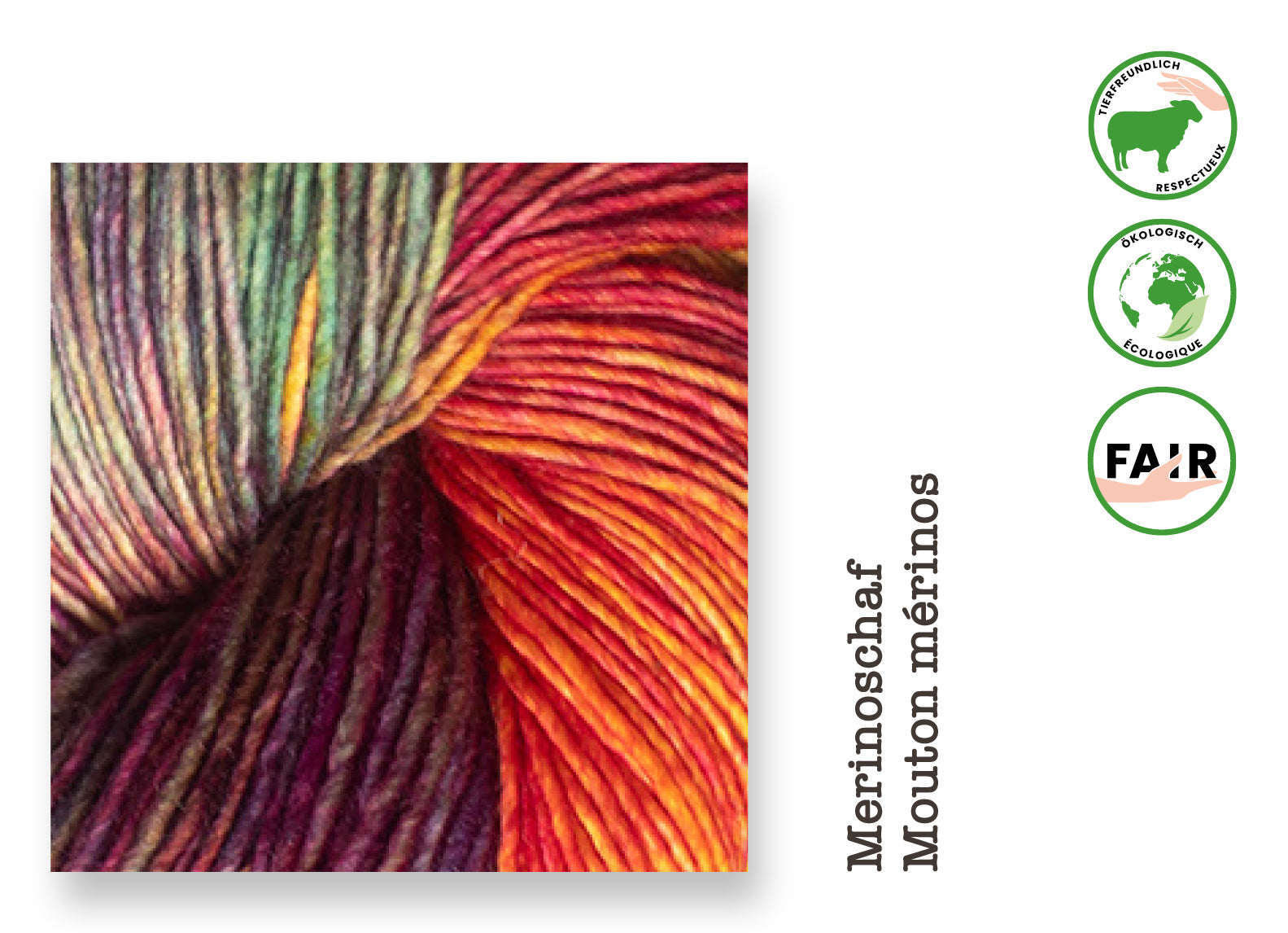 Mechita • Schurwolle Merino muelsingfrei, Malabrigo Yarn